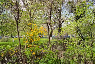 Dr. Taberei - Afi Cotroceni | Ap. 2 camere | Mobilat |Balcon Generos - 1