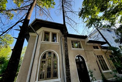 Vila - Baneasa - Herastrau - ideal investitie - 10