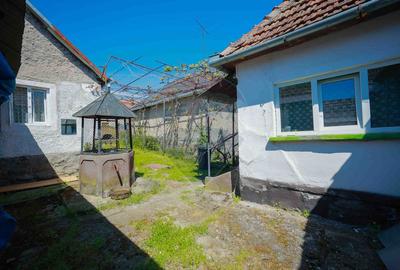 Casă rustică pe malul Crișului Repede, de vânzare, Vadu Crișului - 5