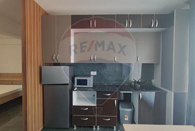 Apartament tip studio de vanzare Ultracentral Promenada Crisului - 3