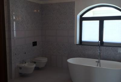 Inchiriere Vila De Lux Baneasa Sisesti - 24