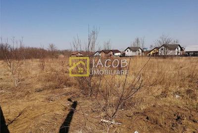 Teren 6208 mp Bacau / Strada 2 Stejari - 7