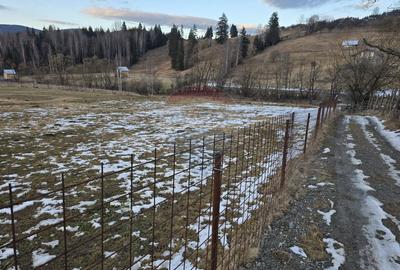 Teren 2,000mp Dorna-Arini / Strada COZANESTI - 1