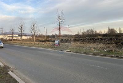 Teren 4,600mp Baia Mare / Strada Oborului - 8