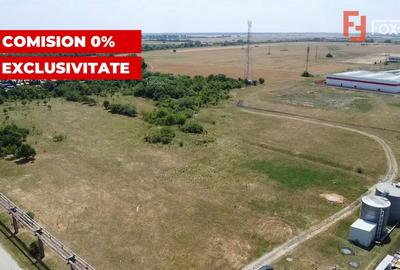 COMISION 0% Teren de vanzare intravilan de 5000 mp in Chisoda - 3
