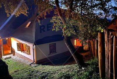 Casă de vacanță deosebită cu ciubăr si saună - natura si relaxare - 27