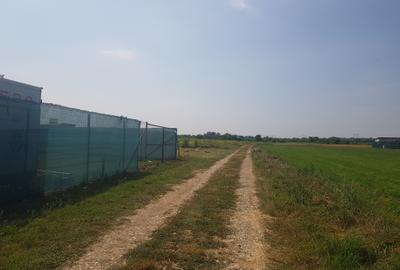 Loturi de teren parcelat, Sabareni, intravilan, 620-650 mp - 6