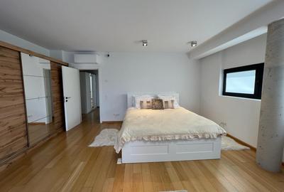 Inchiriere vila moderna Iancu Nicolae - 14