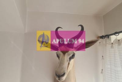 Vila de vanzare in Breaza - Zona Breaza de Sus - 37