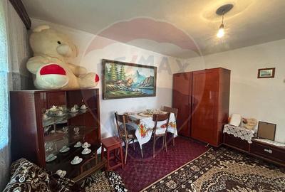 Casa bunicilor, cu gradina, Lera, Buzau! - 3