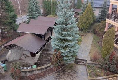 Pensiune de vanzare , Agapia - judetul Neamt - 2