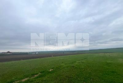 Teren De Vanzare 800mp I Moara, Suceava I Preț: 45.000 Euro - 4
