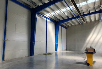 Hala 540 mp, 4,50 e/mp - 1