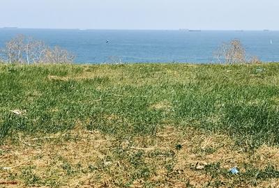 Vedere frontala la mare, deschidere 40m ,str Eminescu 28,Casa Casatoriilor - 9