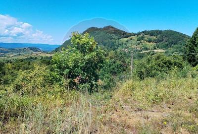Teren 3,871mp Varmaga / None - 2