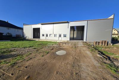 Spatiu Industrial - Gilau - Constructie Noua - 10
