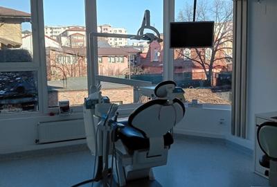 Proprietar vand doua vile in zona Calea Plevnei - 10