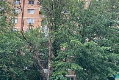 2 camere  PET FRIENDLY  / Drumul Taberei / Râul Doamnei - 8