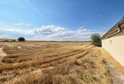 Casa de vanzare in Delta Dunarii - Tulcea, Jurilovca - 236mp utili, teren 5508mp - 12