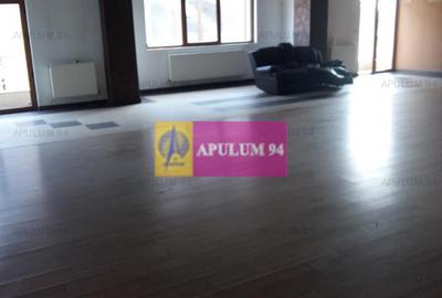 Vila zona Fundeni-Dobroiesti - 7