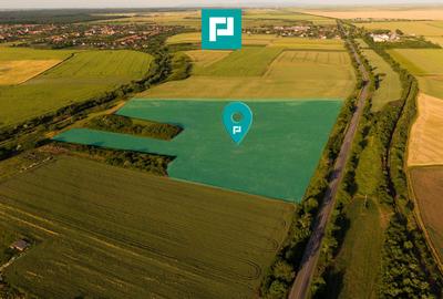 Teren agricol extravilan de 42200 mp, în Secusigiu