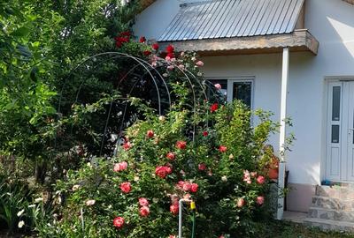 CASA DE VANZARE-BUZAU SAT CUCULEASA - 1