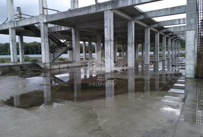 Constructie structura 3707 mp, teren intravilan aferent 8828 mp Sibiu /Selimbar - 25