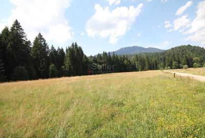 Poiana lui Manole - teren Intravilan - 8