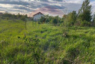 De vanzare | Teren intravilan 525mp in Teghes, comuna Domnesti, Ilfov - 7
