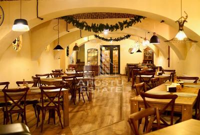 Afacere la cheie, in apropierea Castelului Corvinilor in Hunedoara - 24