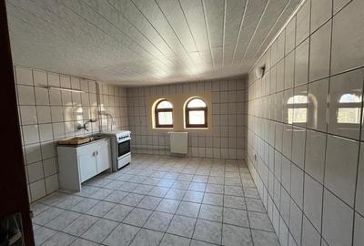 Lugoj,  Vila P+2E+M ,  656 Mp., Construiti, Posibilitate De Investitie, Zona 0 - 26