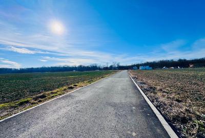 Teren Ciofliceni lângă pădure,Utilități complete Comision 0 - 1