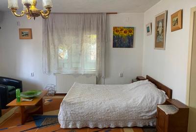 Potențial pensiune / investiție / casa de vacanță - 12