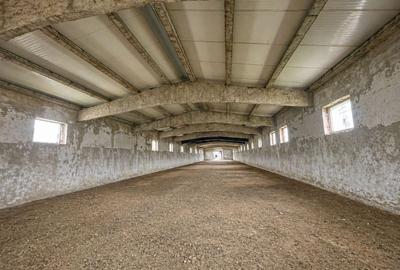 Hala Industrială / Agricolă | 800 MP Construcție + 800 MP Teren | - 2