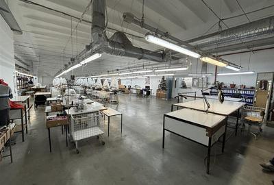 Complex industrial 30130  mp construit - Teren 42558 mp - 4
