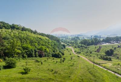 Teren 1.375 mp în Cristian, lângă Mănăstirea Sfântul Efrem cel Nou - 4