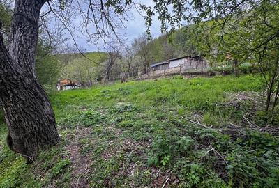 Teren intravilan 665mp cu constructie, com. Andreiașu, jud. Vrancea - 12