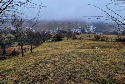 Teren intravilan Simon/Bran, 4318 mp , casuta intabulata, utilitati - 10