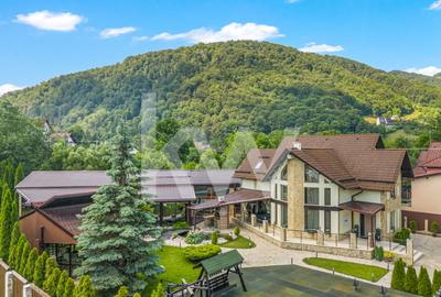 Vilă spectaculoasă lângă Castelul Bran cu piscină și cramă COMISION 0% - 10