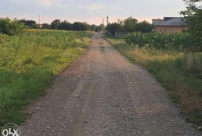 Teren Ghermanesti-Ciofliceni, in com. Snagov, strada Stefanita Voda. Negociabil - 8