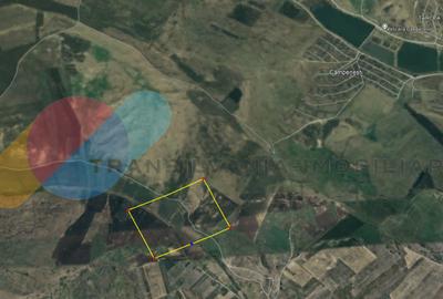 Teren Extravilan 39.867 Mp, zona Campenesti - 1