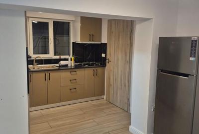 Ofer spre inchiriere casa individuala,renovata,3 camere - 21