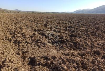 Teren 7500 mp-ideal agricultura, invetitie-Sarata - 1