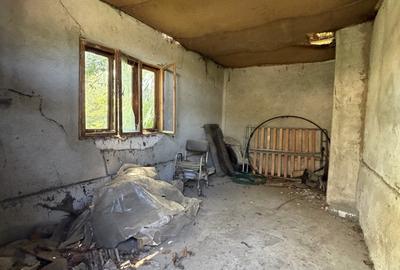 Casă individuală renovabilă | 2 camere | 975 mp teren | La 13 km de Alba Iulia - 10