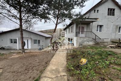 Casă individuală cu 7 camere în Teliucu Inferior