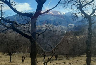 Teren 10,279 mp Bran- Predelut / Strada Pe Tarina nr. 70A - 1