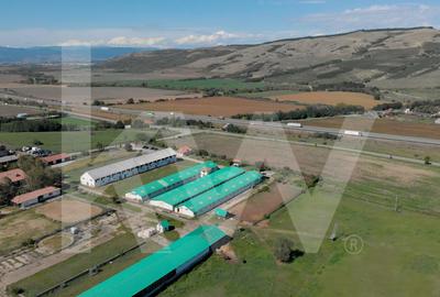 Hală industrială depozitare productie 826mp Sebeș - 9
