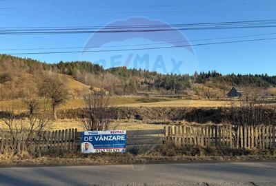 Teren de vanzare  Vatra Moldovitei BUCOVINA - 22