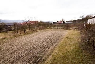 RECO ,teren intravilan in Tinaud,Bihor - 8