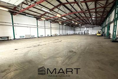 Hala 850mp zona industriala Vest - 2